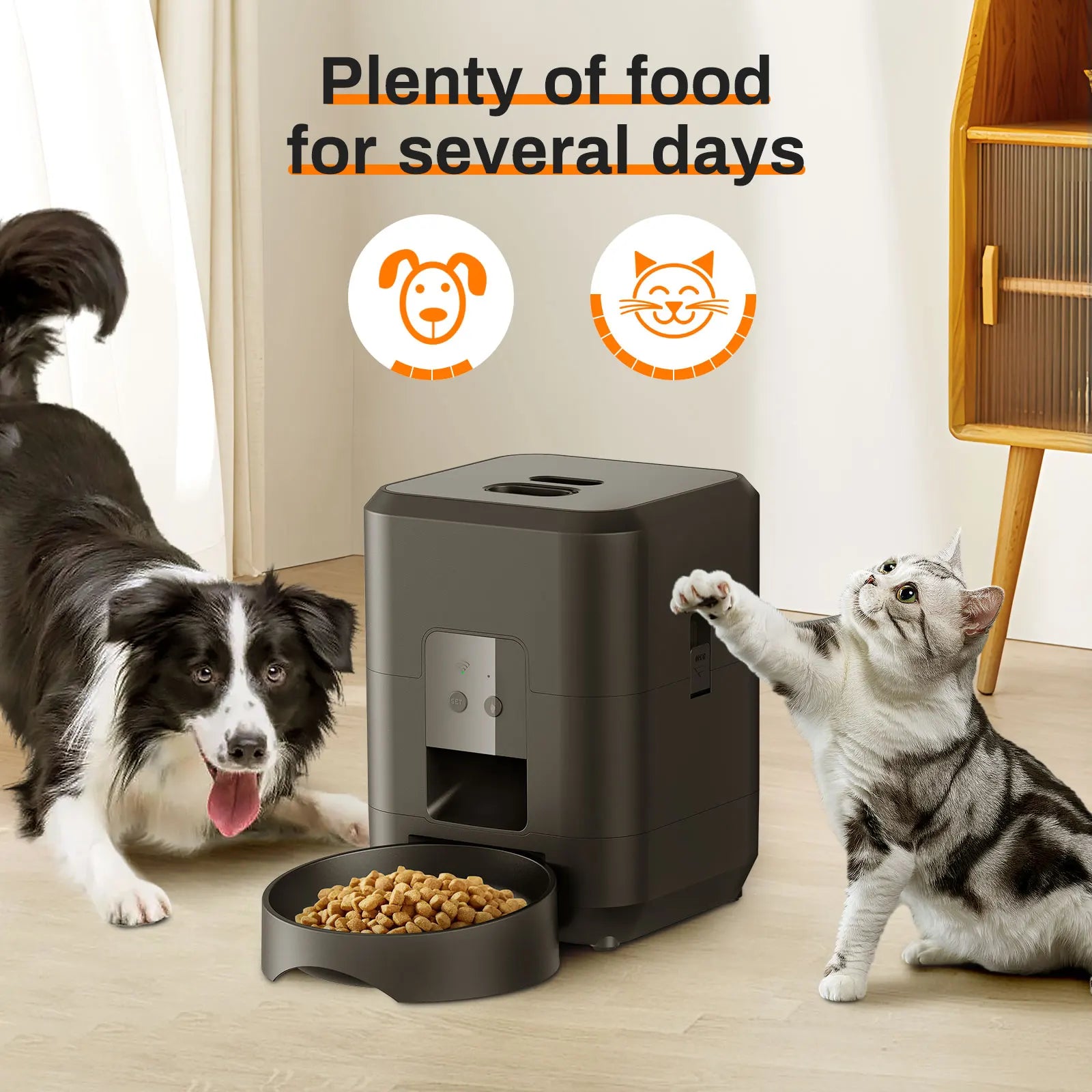 Smart Automatic Pet Feeder with Timed Slow Feeding Bowl