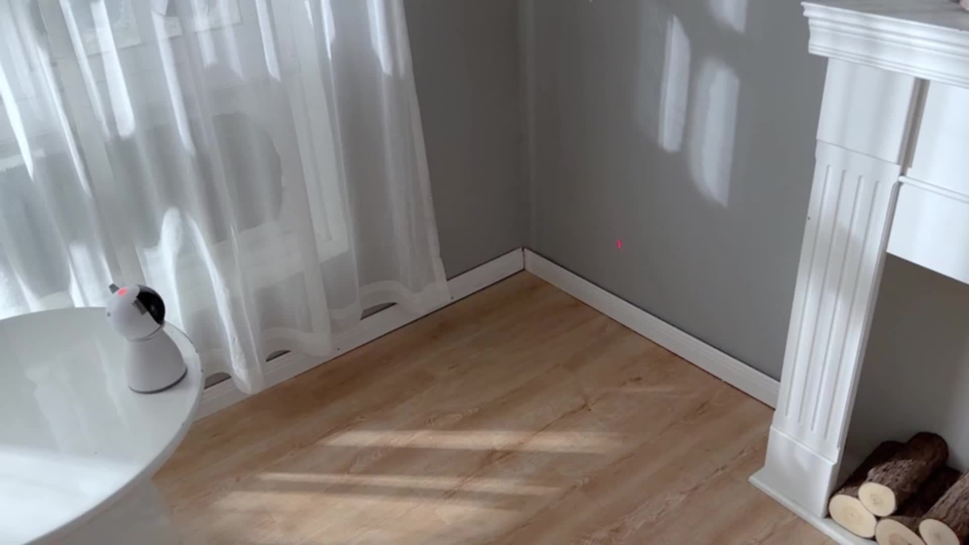 Valonii Automatic Interactive Cat Laser Toy – 2024 Upgrade